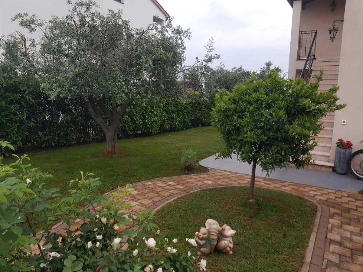 Apartment Apartman Mateo Rogovici Croatia