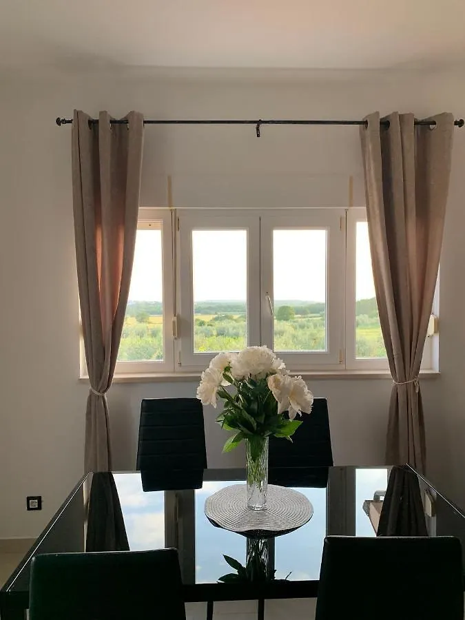 Apartment Apartman Mateo Rogovici Croatia